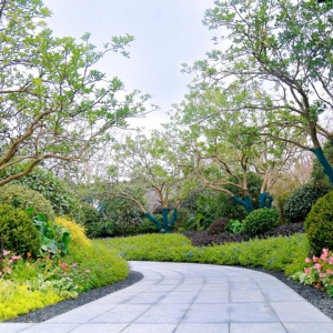 別墅庭院設(shè)計(jì)的后期如何養(yǎng)護(hù)凤目鸾姿？